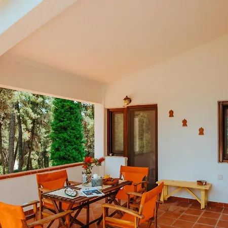 Beautiful Summerhouse In Sani's Pine Forest * Сани-Бич