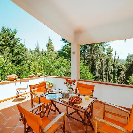 Beautiful Summerhouse In Sani's Pine Forest *
