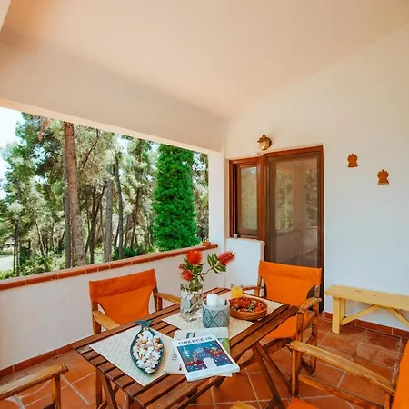 Beautiful Summerhouse In Sani's Pine Forest Semesterbostad Sani (Chalkidiki)
