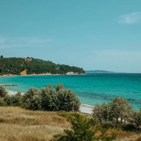 Beautiful Summerhouse In Sani's Pine Forest * Παραλία Σάνη