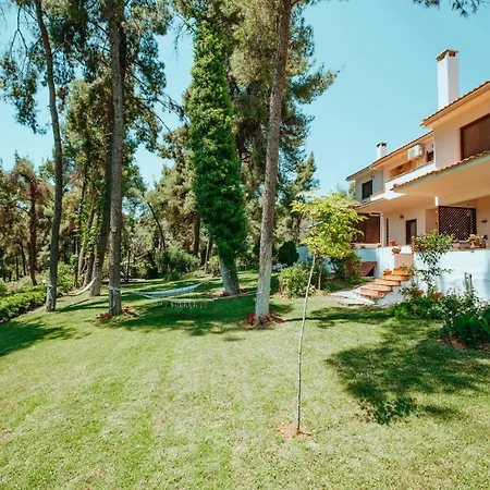Beautiful Summerhouse In Sani's Pine Forest Holiday home