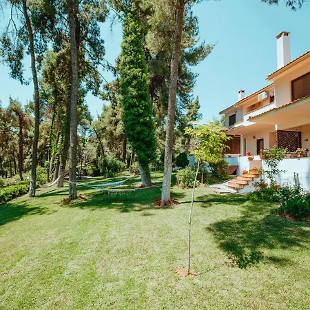 Beautiful Summerhouse In Sani's Pine Forest Holiday home