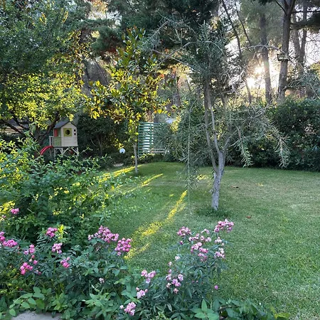 Beautiful Summerhouse In Sani's Pine Forest *