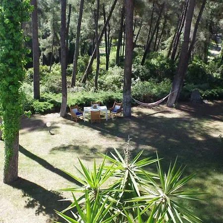 Beautiful Summerhouse In Sani's Pine Forest *
