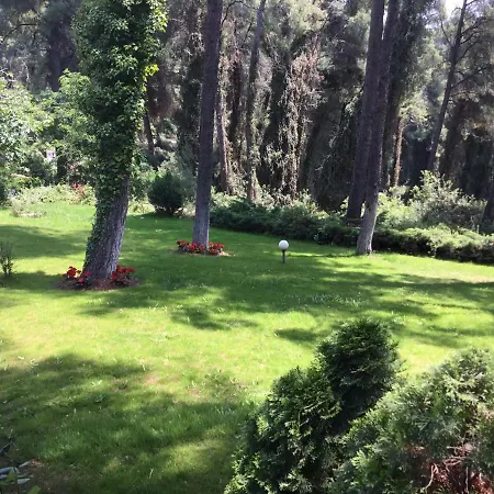 Beautiful Summerhouse In Sani's Pine Forest *