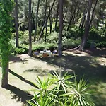 Beautiful Summerhouse In Sani's Pine Forest *