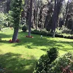 Beautiful Summerhouse In Sani's Pine Forest *