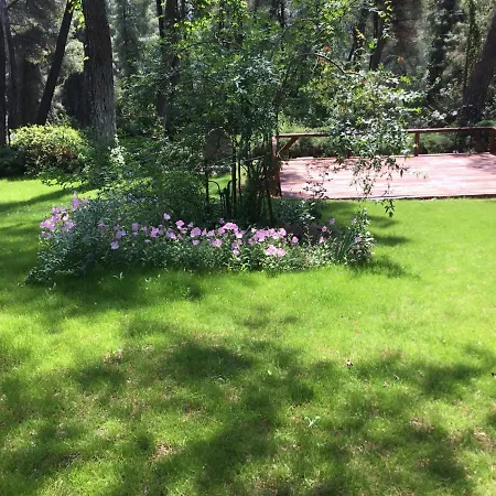 펜션 Beautiful Summerhouse In Sani's Pine Forest Sani (Chalkidiki)