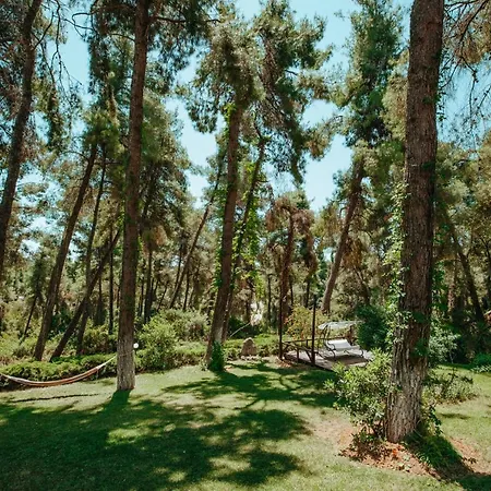 펜션 Beautiful Summerhouse In Sani's Pine Forest
