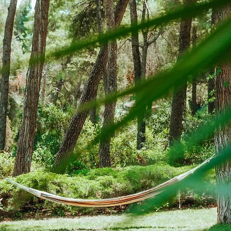 Beautiful Summerhouse In Sani's Pine Forest 펜션 *