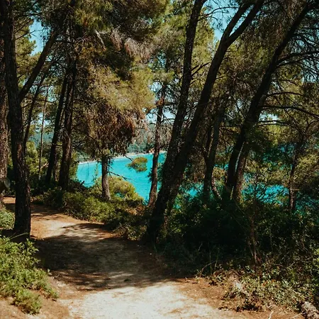 Beautiful Summerhouse In Sani's Pine Forest 펜션 *